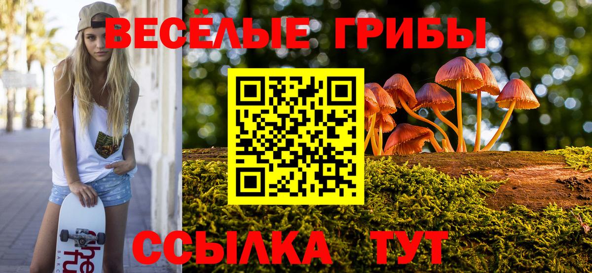 Партизанск  Галлюциногенные грибы мухоморы  Вход с VPN 